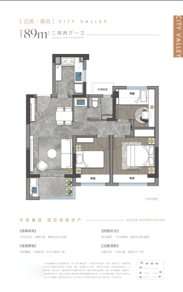 3室2厅1卫户型图