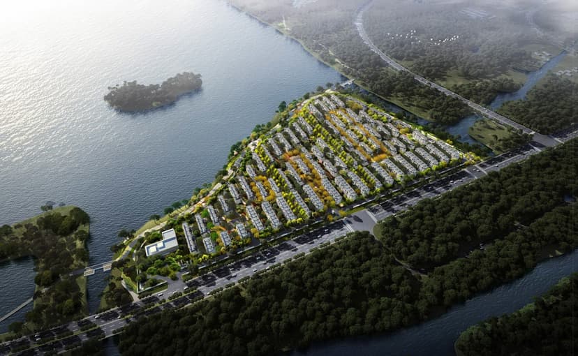 龙湖镜湖原著